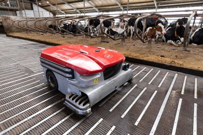 
								Lely Sphère. L’ innovation du  Lely Sphère n’est pas tant dans la séparation de l’urine et du lisier sur le sol des aires d’exercice pour réduire les émissions d’ammoniac. Elle est dans l’ aspiration de l’ammoniac gazeux produit sous le caillebotis pour le passer dans un filtre et y piéger l’azote qui ressort sous  forme minérale.
									© Ernie Buts